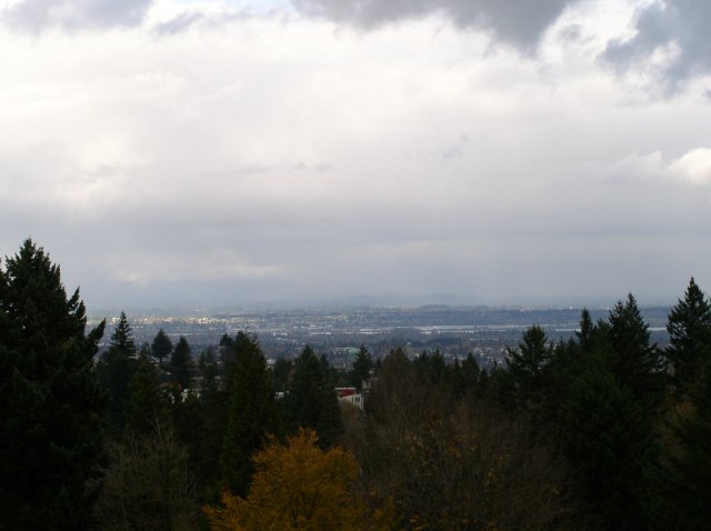 11.06.05 Wildwood Trail 013 